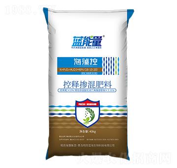 �w��������⛡������Ϳ�