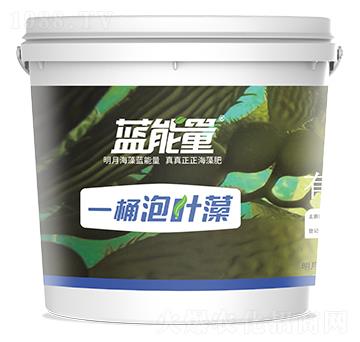 һͰ���~��-�{����