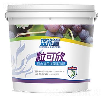 �Gɫ�r�ú��������-�{