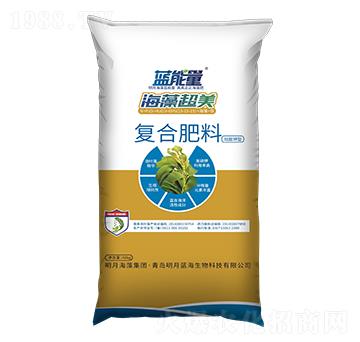 ������͏ͺϷ���15-