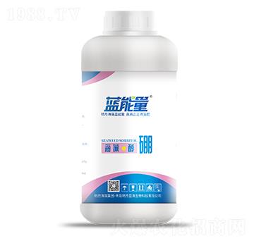 400g���塤����-�{