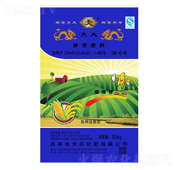 �������38-0-8-���