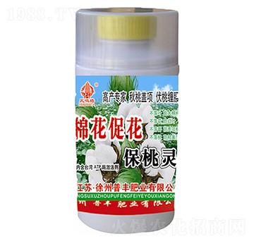 �޻��ٻ������`-���S�ʘI(y��)