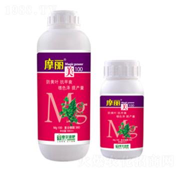 Ħ����-ħ��Һ��