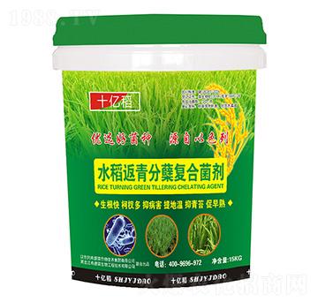 水稻返青分蘗復(fù)合菌劑-十億稻-希碧萊生物