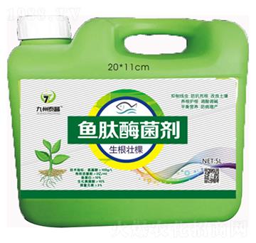 �~�����ѿ���ø����-̩������