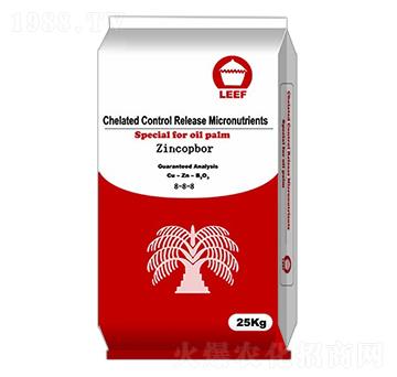 �~�\��12-6-8-�Ŷ�-�����Ƽ�