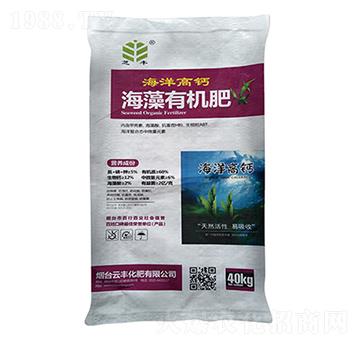 ������}�����ЙC��-֥�S-���S����