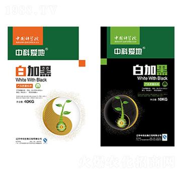 �׼Ӻ�ϵ���ײͷ�-�п�