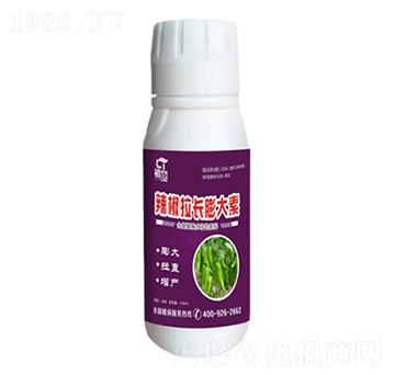 �������L�����-����-�֮��