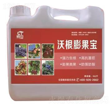 �ָ������-����-�֮��