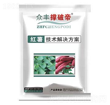 �t���M���ײ�-���S���Ƶ�-���S�r�Y