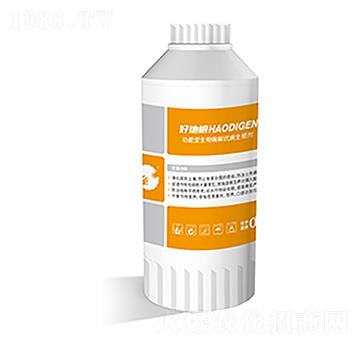 �������Ԅ�-�õظ�-�õ��r(n��ng)�I(y��)