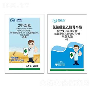 С������݄�-������-��С��