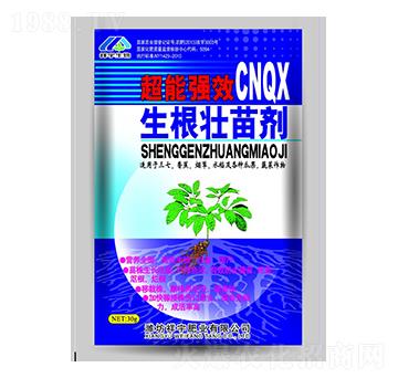 �������焩-����ʘI(y��)