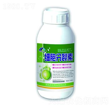 ����������-����ʘI(y��)