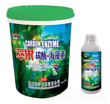 ̼ø��������-�͹�-����ʘI(y��)