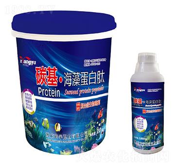 ̼�������嵰����-����ʘI(y��)