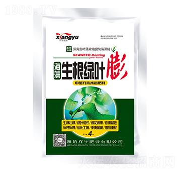 ���������G�~��-����ʘI(y��)