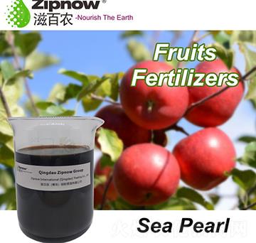 ������-ˮ������-�̰�