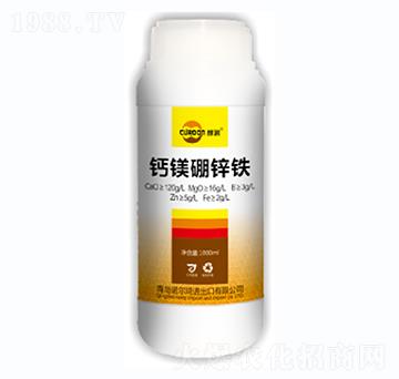 �}�V���\�F-�Z����