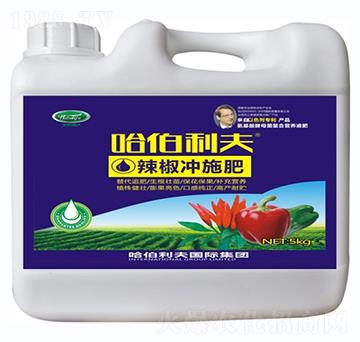 �������Û_ʩ��-��������