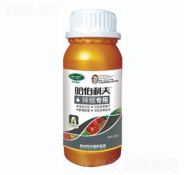 ��������-��������