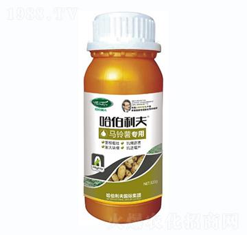 �R��팣��-��������