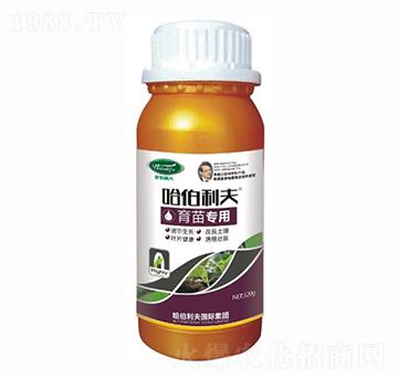 ���猣��-��������