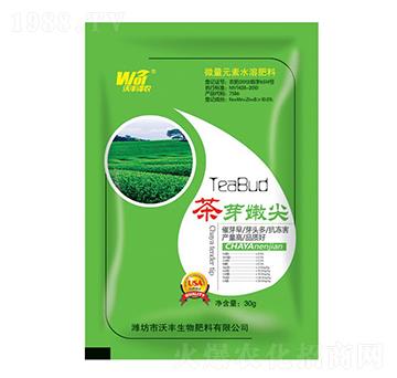 茶芽嫩尖-沃豐澤農(nóng)-沃豐生物
