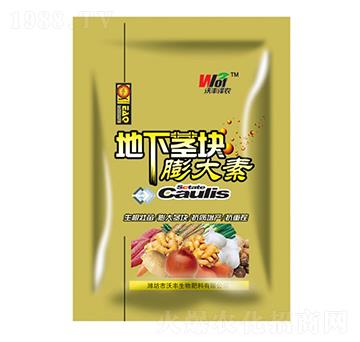 地下莖塊膨大素-沃豐澤農(nóng)-沃豐生物