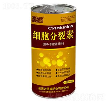 ��(x��)��������-���|ʩ-�Z