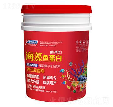 �����~(y��)���ף�����ͣ�-Ӣ���ֲ���