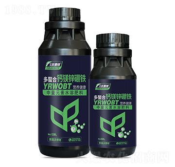 �������}�V�\���F-Ӣ���ֲ���