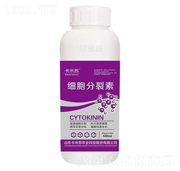 500ml��(x��)��������-