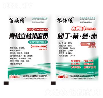 ������ݸ����`+�Ŷ���