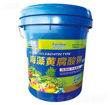 �����S�����-�Z����