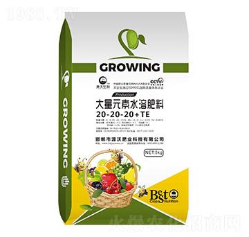 大量元素水溶肥料20-20-20+TE-鄲農(nóng)肥業(yè)