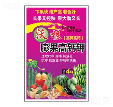 �ָ�������}�-�����_