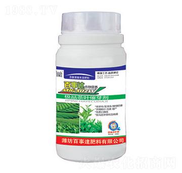 ���~��ѿ��-�����_