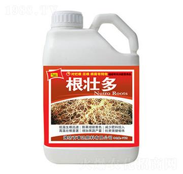 ���Ѷ�-�����_