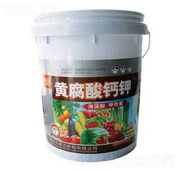 �S�����}�-�����_