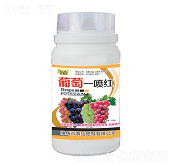 ����һ���t-�����_