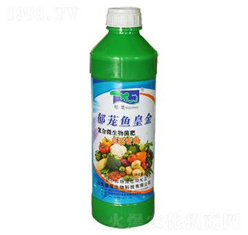 ���d�~�ʽ�-���d����