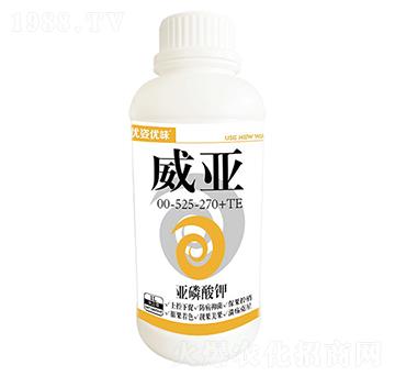 �������00-525-270+TE-�п�-��(y��u)�˃�(y��u)ζ