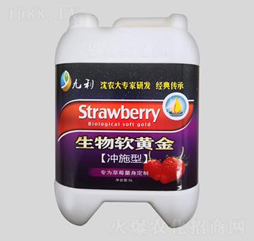 �_ʩ������ܛ�S��-�����ʘI(y��)