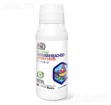 細(xì)胞分裂素500ml-獅馬肥業(yè)