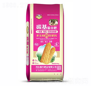 ̼�����Ϸ�30-10-