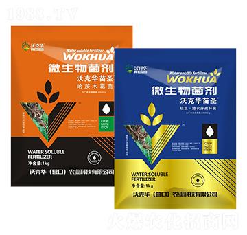 �ֿ��A��ʥ΢�������-�ֿ��A