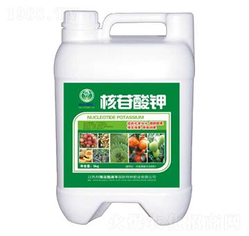 �������-�՝�(r��n)�S